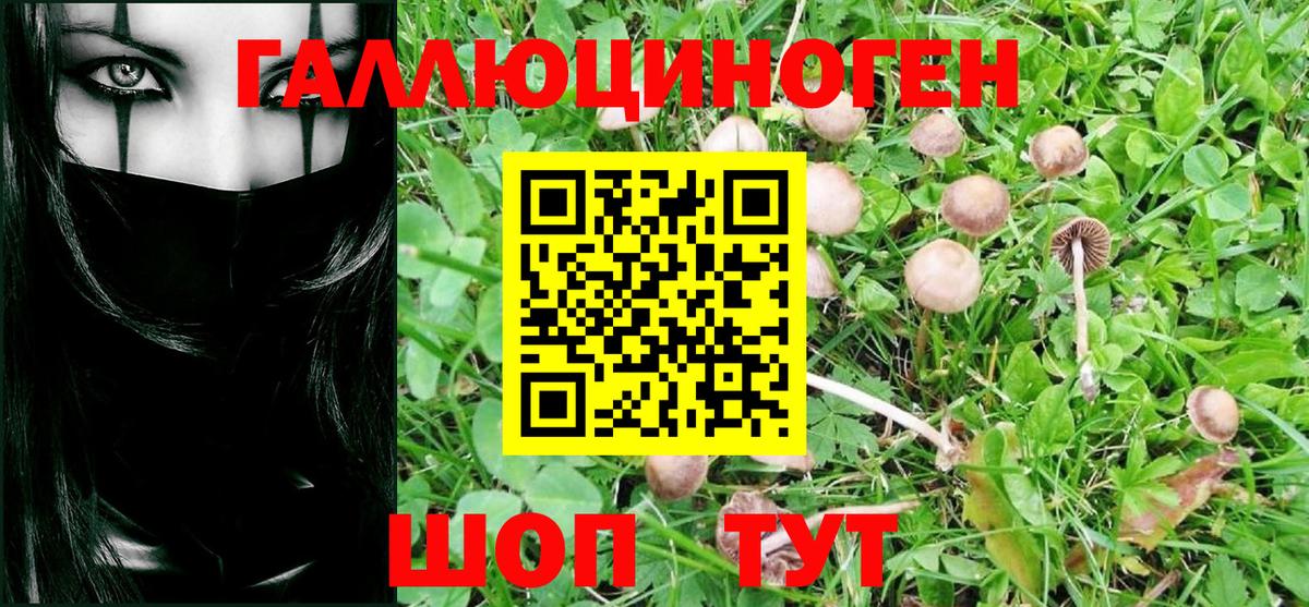 Галлюциногенные грибы мицелий  Вход с VPN  Можга 